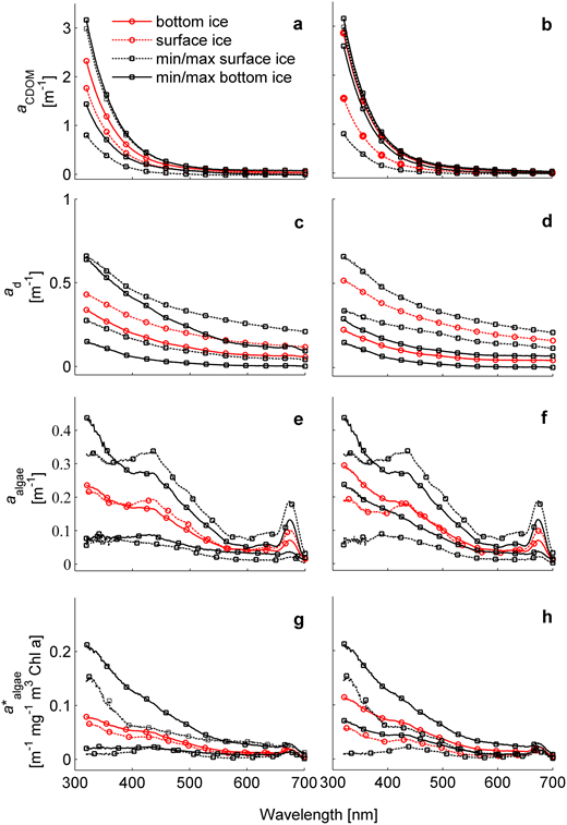 Figure 2. Absorption spectra of CDOM, de-pigmented particles and algae for melted sea ice. / The spectra of absorption coefficients are shown for CDOM (aCDOM, panels a and b), de-pigmented particles (ad, panels c and d), algae (aalgae, panels e and f) and algae normalized to Chl a (a*algae, panels g and h). The mean coefficients (red lines) and their minimal and maximal values (black lines) are shown for surface ice (dotted lines) and bottom ice (solid lines). In panels a, c, e and g, the mean absorption properties are derived from all stations; in panels b, d, f and h, the mean values are those for fast ice only (St.3 and St.4). Please note the different scales for the absorption coefficients.