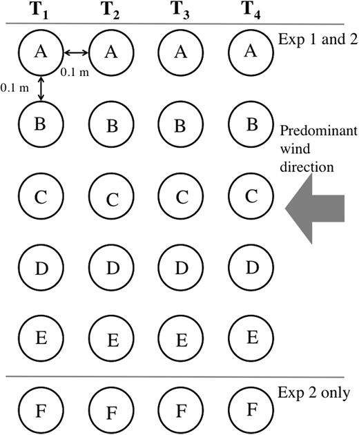 Figure 2. Layout of the in situ ice-growth experiments. / Layout of the set-up for Exp 1 and 2 (aerial view). Cores were separated by 0.1 m. For each time step, one row (cores A–E for Exp 1 and A–F for Exp 2) was sampled for a suite of parameters. T1 sampling was at 6 hours, T2 at 12 hours, T3 at 24 hours and T4 at 48 hours. Core allocation was as follows for Exp 1: core A, temperature and ice texture; core B, salinity and bacterial counts; core C, POC/PON, DOC, macro-nutrients and Chl a; core D, EPS; and core E, PFe and DFe. Core allocation during Exp 2 was: core A, temperature and ice texture; core B, salinity and bacterial count; core C, POC/PON, DOC, macro-nutrients; core D, Chl a; core E, EPS; and core F, PFe and DFe.