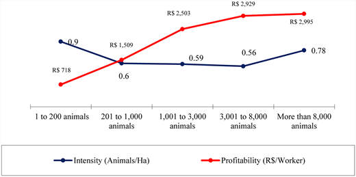 Figure 1. Herd size, intensification of land use and profitability per worker. / In the 1995 Agricultural Census, the intensity of land use in livestock production (animals/ha) does not correlate directly with the herd size on farms (horizontal axis with herd size intervals) up to the range between 3,000 and 8,000 head of cattle. In turn, profitability (R$/worker) correlates positively with the level of production but is indifferent to the intensity of land use. Source: Agricultural Census, All States of the North region, 1995. Tabulated by the author.