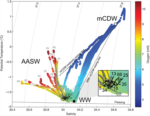 Figure 2. Water masses in the ASP. / Temperature-salinity diagram, with Winter Water (WW), modified Circumpolar Deep Water (mCDW), and Antarctic Surface Water masses, showing the full 13 station profiles (labeled with station numbers in gray at the surface) using oxygen concentration (colored according to the legend). Solid gray lines indicate the parts of the profiles used for the upper water column integrations. Black segments (also numbered at bottom) indicate the lower parts of the upper 100 m profiles of the eight stations (see Table 1) that were not used in the integration because of the intrusion of mCDW at depth, indicated by curving up and right (see inset) towards the mCDW water mass endpoint. The dotted gray line is the seawater freezing line. The black, short-dashed line is the mixing line between WW and mCDW. The black, long-dashed line shows the mixing line between mCDW and glacial melt (meteoric) water.