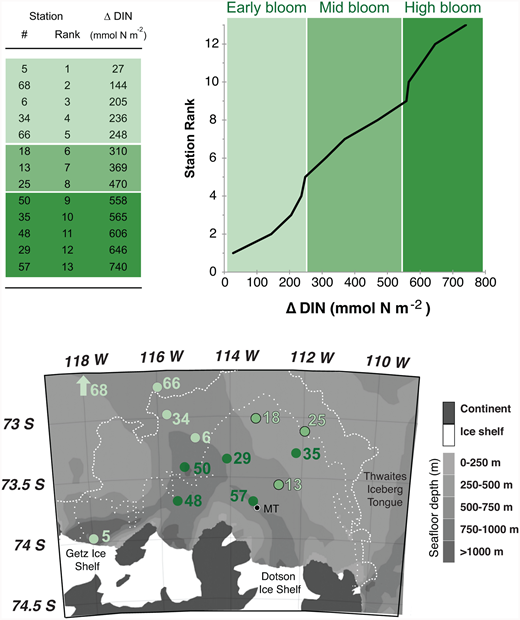 Figure 4. Station classifications. / The ranking and spatial arrangement of stations is compared according to increasing ΔDIN (mmol N m-2, as listed in Table 1). The increase in ΔDIN over station rank is linear (R2 = 0.98), with small breaks in slope near 250 and 550 mmol N m−2. One possible grouping of stations, therefore, is: 1) early bloom stations (light green) indicated by ΔDIN < 250 mmol N m−2; 2) mid-bloom stations (medium green) indicated by 250 < ΔDIN < 550 mmol N m−2, and 3) high bloom stations (dark green) indicated by ΔDIN > 550 mmol N m−2. Geographic map shows that light green stations (early bloom) are located in the northern and western regions of the study area (68 is off the map, see Figure 1), medium green stations (mid-bloom) tend towards the northeast, dark green stations (high bloom) are central and southern. The white lines indicate the edge of the open water (see Mu et al., 2014) on 19 November 2010 (dotted) and 2 January 2011 (dashed), showing how the northern stations experienced fewer ice-free days.