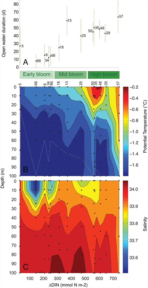 Figure 5. Hydrography of the 13 ASP stations examined. / Physical characteristics of the 13 stations examined against increasing integrated nitrate depletion (ΔDIN, mmol N m−2) and bloom stage (green scale as in Figure 4). A) open water duration (days) for each station (numbered); (B) potential temperature (°C; colored according to legend) profiles contoured with increasing ΔDIN, with the white dotted line indicating the depth of integration for each station; (C) salinity profiles contoured versus ΔDIN. Actual measurements indicated by black data points.