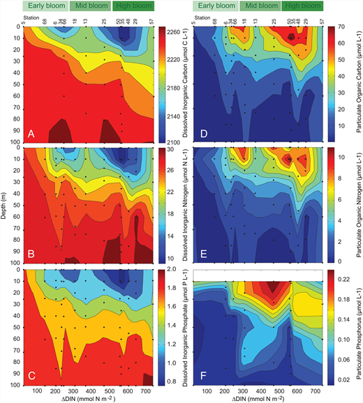 Figure 6. Carbon, nitrogen, and phosphorus inventories in the ASP. / Inventory profiles for the 13 stations contoured against increasing nitrate depletion (ΔDIN; mmol N m−2) and bloom stage (green scale as in Figure 4). (A) dissolved inorganic carbon (DIC, µmol C L−1); (B) dissolved inorganic nitrogen (DIN, µmol N L−1); (C) dissolved inorganic phosphorus (DIP, µmol P L−1); (D) particulate organic carbon (POC, µmol C L−1); (E) particulate organic nitrogen (PN, µmol N L−1); and (F) particulate phosphorus (PP, µmol P L-1). The left and right columns are independently measured, so the coherence is notable. Samples for PP came from separate TMC-CTD casts and there were fewer profiles available.
