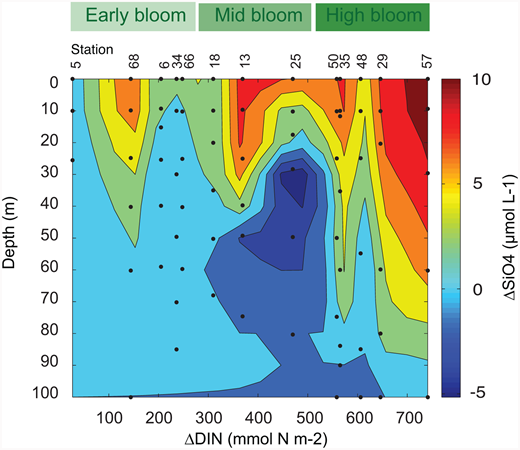 Figure 7. Silicate drawdown in the ASP. / Dissolved silicate drawdown (ΔSibio, µmol C L−1) profiled for the 13 stations contoured against increasing nitrate depletion (ΔDIN, mmol N m−2) and bloom stage (green scale as in Figure 4). The partial coherence with Figure 6 is notable.