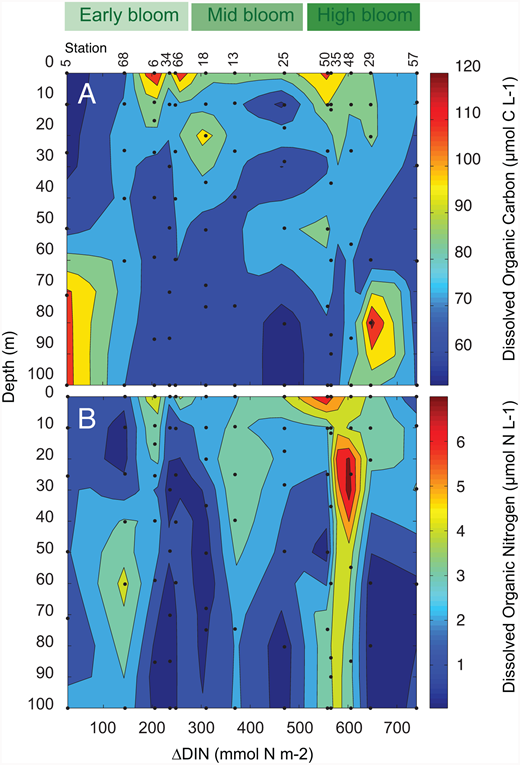 Figure 8. Dissolved organic carbon and nitrogen inventories in the ASP. / Dissolved organic inventory profiles for the 13 stations contoured against increasing nitrate depletion (ΔDIN, mmol N m−2) and bloom stage (green scale as in Figure 4). A) dissolved organic carbon (DOC, µmol C L−1); and (B) dissolved organic nitrogen (DON, µmol N L−1). The lack of coherence with Figure 6 is notable.