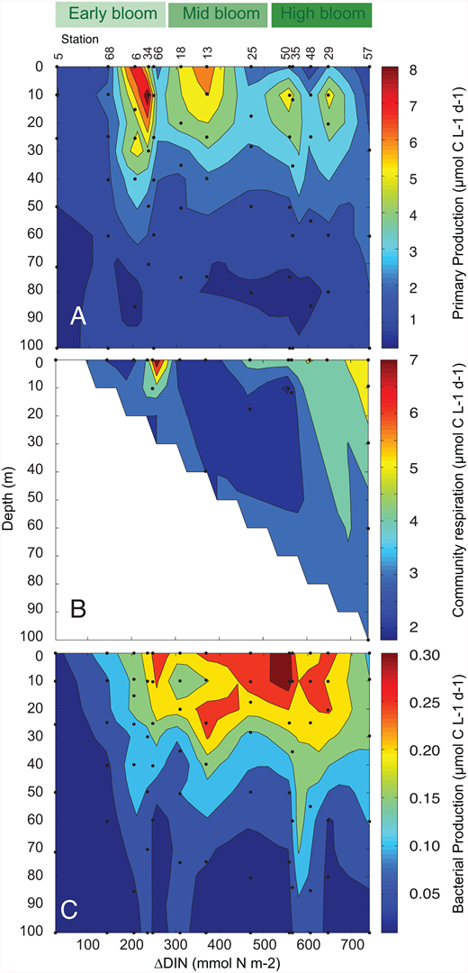 Figure 10. Production and respiration in the ASP. / Biological rate profiles for the 13 stations contoured against increasing nitrate depletion (ΔDIN, mmol N m−2) and bloom stage (green scale as in Figure 4). A) net primary production (NPP, µmol C L−1 d−1); (B) community respiration (µmol C L−1 d−1); and (C) bacterial production (µmol C L−1 d−1).