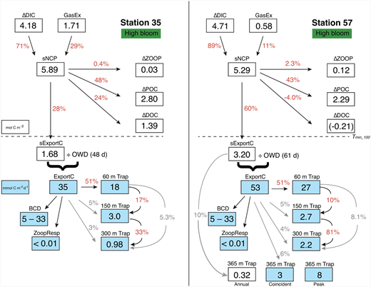 Figure 11. Carbon budgets for two peak bloom stations in the ASP. / Values for carbon budget inventories (white boxes, mol C m−2) and fluxes (blue boxes, mmol C m−2 d−1) measured directly at two high bloom stations (35 and 57), with percent transfers in red. Seasonal net community production (sNCP) is the sum of the integrated observed drawdown in dissolved inorganic carbon (ΔDIC) and gas exchange (GasEx). Some of the sNCP contributes to the buildup of mesozooplankton biomass (ΔZoop), particulate organic carbon (ΔPOC), and dissolved inorganic carbon (ΔDOC). The remainder is seasonal export (sExportC). This inventory is converted to a rate (ExportC, in blue) by dividing by the number of open water days (OWD). The export rate can then be compared to flux measurements from drifting traps at 60 m, 150 m, and 300 m depths, and the moored trap at 365 m. Drifting traps and the moored trap capture efficiencies were not intercalibrated, so comparisons are qualitative only. The two rate values for the 365 m trap are for the time at station (coincident, left) and at the peak flux (about ten days later, right). The remaining Export C flux is mostly accounted for with bacterial carbon demand (BCD) and zooplankton respiration (ZoopResp); see Ducklow et al. (2015). The total annual export (0.32 mmol C m−2) to the moored trap (365 m) is ∼10% of the seasonal sExportC inventory (3.2 mmol C m−2) at the time of the ASPIRE sampling Sta. 57 on December 31.