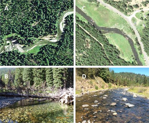 Figure 1. Illustration of channel complexity in a wilderness versus modified stream. Stream channel complexity contrasted in two watersheds including the Minam River—a designated wilderness area representing historical conditions—as seen from (A) aerial photography and (B) ground photography in 2013, and a simplified and unnaturally widened stream channel in the heavily impacted upper Grande Ronde River as seen from (C) aerial photography and (D) ground photography in 2015. Aerial images courtesy of Google Earth; ground images courtesy of the Columbia Habitat Monitoring Program. DOI: https://doi.org/10.1525/elementa.192.f1