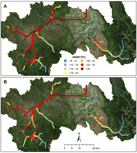 Figure 5. Simulated water temperature for present conditions and restoration scenarios. Map of simulated maximum weekly maximum water temperatures (MWMT) in the upper Grande Ronde River and Catherine Creek under (A) present conditions (Current) and (B) the restored channel width scenario (Width). See Figure 2 for stream names. DOI: https://doi.org/10.1525/elementa.192.f5