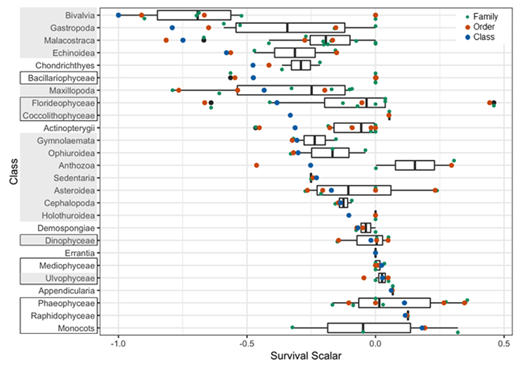 Figure 3. pH sensitivity survival scalar for various taxonomic groups in Puget Sound. A negative survival scalar indicates a negative effect of decreasing pH on survival and a positive scalar indicates a positive effect on survival. The blue points show scalars by class, the orange points are by order, the green points and box plots are by family. Each row of the chart shows the values for taxonomic groups in the given class and the chart is sorted by class level scalars. Classes that calcify are shaded in gray. Outlined classes are primary producers. At each taxonomic level, we applied the method of Busch and McElhany (2016): the scalars were estimated for every taxonomic group in Puget Sound for which we could find matching taxonomy in the literature review database of Busch and McElhany (2016) and for which the total “evidence score” was greater than 1. The evidence score would be less than 1 if their literature contains only a few experimental responses (generally ≤3) that are not of high relevance to survival of species in Puget Sound. The family-level box plot shows the median of the distribution (line), the 25–75% quartiles (box), 1.5 times the interquartile range (Tukey, 1977), and the outliers (black points). DOI: https://doi.org/10.1525/elementa.245.f3