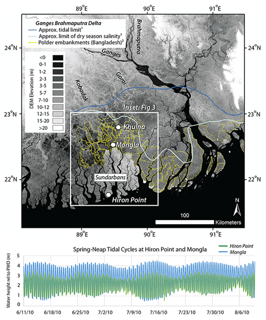 Figure 1. Ganges Brahmaputra delta: elevation, tidal limit, and salinity incursion. Top: Digital elevation model of the tidal deltaplain of the Ganges Brahmaputra delta, southwest Bangladesh, including locations of the tidal limit, salinity incursion during the dry season, the Sundarbans mangrove forest preserve, and inhabited poldered islands. Elevations from 1 arc-second SRTM 2000 measurements downloaded from Earth Explorer. Note elevation for the Sundarbans is exaggerated due to tree canopy cover; it exists at ~MHW, ~1.5 m above most poldered landscapes (Auerbach et al., 2015). Bottom: Spring-neap tidal cycles at Hiron Point and Mongla, obtained from hourly data provided by the Bangladesh Inland Water Transportation Authority (BIWTA, 2010). Note the tidal amplification inland at Mongla. (1FAO, 1985; 2CERP, 2005). DOI: https://doi.org/10.1525/elementa.263.f1