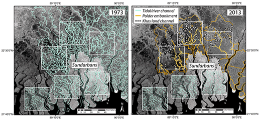 Figure 3. Tidal channel network under natural (pre-polder) and anthropogenic (post-polder) conditions. Conduit channels that have infilled greater than 50% (i.e., ‘Khas’ land) delineated from historical Landsat imagery in the 6 study areas in southwest region of Bangladesh, 1973–2013. The 3 white boxes on top are located within poldered areas, while the 3 on bottom are within the Sundarbans mangrove forest and serve as control sites. See also Supplemental Figure S1 for unedited and traced imagery for each study area. DOI: https://doi.org/10.1525/elementa.263.f3