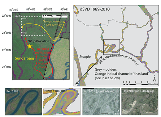Figure 7. Channel siltation along the Mongla-Ghashiakhali navigation route between 1989 and 2016. Remote sensing images and dSVD analysis from Landsat and Google Earth imagery reveals rerouting of ship traffic into the Sundarbans mangrove forest resulted as channel siltation along the Mongla-Ghashiakhali navigation route progressed (top left and bottom). dSVD conversion of measured radiance to reflectance and estimation of spectral endmember fractions allows each Landsat image pixel to be represented as areal fractions of sediment substrate (S), vegetation (V), and dark fractions (D). Differencing coregistered SVD fraction images collected at different times allows land cover changes to be represented as dSVD maps showing absolute increases and decreases in subpixel area of substrate, vegetation and water (or shadow; top right). See Supplemental Material for details. DOI: https://doi.org/10.1525/elementa.263.f7
