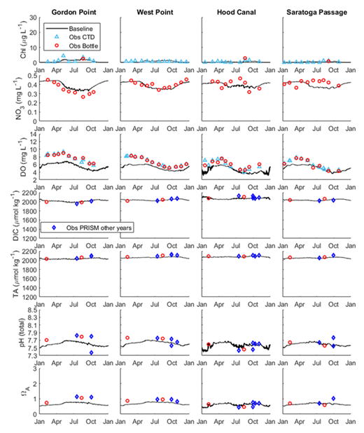 Figure 5. Time series of modeled and observed values for the bottom layer at four stations. Time series of bottom model values (black lines) for seven variables (rows) and four stations (columns). Overlapped observations belong to CTD casts (blue triangles) and bottles (red circles) for 2008; blue diamonds correspond to other years of PRISM data in the panels for DIC (μmol kg–1), TA (μmol kg–1), pH (total scale), and ΩA. Scales of the Y-axes are the same as in Figure 4. DOI: https://doi.org/10.1525/elementa.151.f5