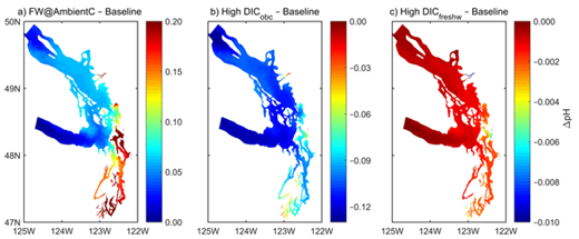 Figure 9. Mean annual ΔpH (experiment minus baseline) for the bottom layer. Maps of mean annual differences of pH (using the second year of simulation) for the bottom layer of the water column between three experiments and the baseline: (a) Freshwater at Ambient Concentrations (FW@AmbientC), (b) High DICobc, and (c) High DICfreshwater. Color scales of ΔpH are different (up to one order of magnitude) for each panel. In (a), loading from rivers affects all Puget Sound. In (b), the effect of the open boundary is also felt in the whole region, but with more limited influence in shallower areas with river inputs. In (c), changes are only seen in areas close to large rivers. DOI: https://doi.org/10.1525/elementa.151.f9