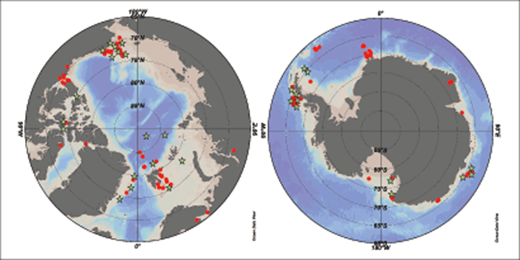Figure 1. Maps showing the sampling locations of ice cores included in this study. Samples on microalgal species composition are denoted as red circles, and photosynthetic parameters are denoted as green stars. DOI: https://doi.org/10.1525/elementa.267.f1