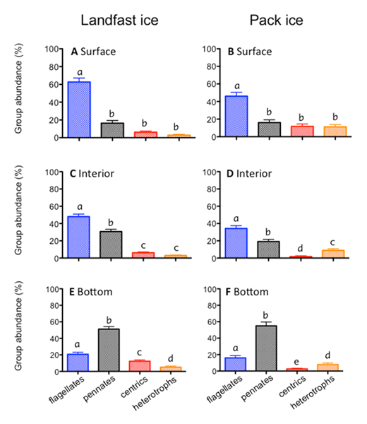 Figure 2. Vertical distribution of algal groups in sea ice. Distribution of each algal group is presented for landfast (A, C, E) and pack ice (B, D, F) as a percentage of abundance over three layers of the ice column: surface layer (A, B), interior layer (C, D), and bottom layer (E, F). Average values for combined Arctic and Antarctic data are plotted; error bars indicate standard error. Significance was tested within each layer by Kruskal-Wallis test. Different letters (a–f) indicate significant differences; same letters indicate no significant difference (t-test, p < 0.05). Pennates and centrics refer to diatoms. DOI: https://doi.org/10.1525/elementa.267.f2