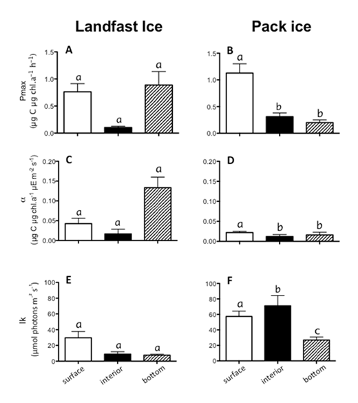 Figure 5. Vertical distribution of photosynthetic parameters in the sea ice. Distribution of each parameter is presented for landfast (A, C, E) and pack ice (B, D, E) over three layers of the ice column: surface, interior and bottom. Average values for combined Arctic and Antarctic data are plotted for maximum photosynthetic capacity, Pmax (A, B), α (C, D), and Ik (E, F); error bars indicate standard error. Significance was tested within each layer by Kruskal-Wallis test. Different letters (a–f) indicate significant differences; same letters indicate no significant difference (t-test, p < 0.05). DOI: https://doi.org/10.1525/elementa.267.f5