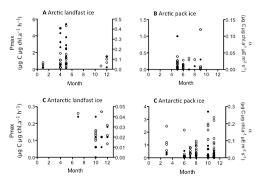 Figure 6. Seasonal distribution of photosynthetic parameters in sea ice. Data for maximum photosynthetic capacity (Pmax, open symbols), and for light affinity (indicated by α, closed symbols) were combined from all three layers of the ice column, then presented separated for Arctic (A, B) and Antarctic (C, D) landfast (A, C) and pack ice (B, D). DOI: https://doi.org/10.1525/elementa.267.f6