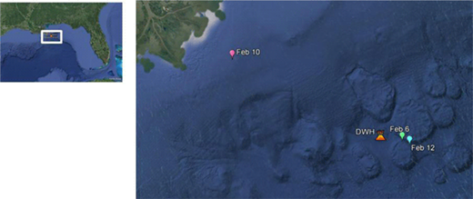 Figure 1. Sampling sites and dates in the Gulf of Mexico. Samples were collected during the 2016 GoMRI LASER research cruise. DWH refers to the Deepwater Horizon site. DOI: https://doi.org/10.1525/elementa.268.f1
