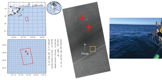 Figure 2. Reference map, satellite image and photograph of a sea surface slick on February 11, 2016. Reference map (left) for TerraSAR-X stripmap intensity image (middle) acquired on February 11, 2016, at 23:49:10 UTC, with sampling sites 6 and 7 on February 12 (Table 1) denoted by red stars. The dark elongated area and surrounding dark areas in the middle of the SAR image show the slick accumulating at the convergence zone, while the lighter area in the south indicates rougher water. Bright spots in the image are oil rigs. In the photograph (right), the lighter area shows the slick on February 12, 2016, at 15:05:43 UTC in the SML sampling area. The area above the white line indicates the slick areas in the SAR image. The yellow rectangle contains the area of the possible oil spill. The green dot indicates where the photograph on the right was taken. DOI: https://doi.org/10.1525/elementa.268.f2