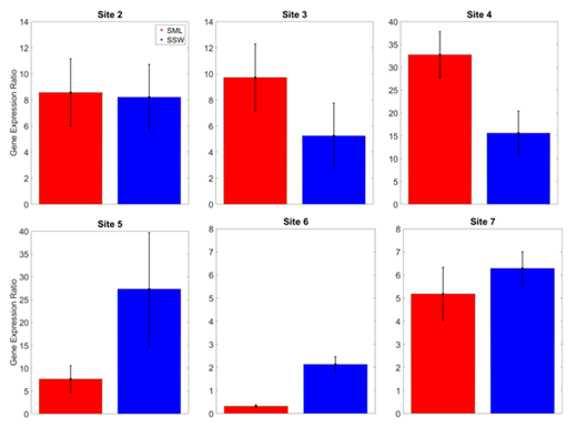 Figure 4. Mean relative abundance of Bacillus spp. in the SML and SSW samples collected in this study. Mean ratios of quantified target to reference genes (Equation 1) are given for each sample type (red bars for sea surface microlayer, SML; blue bars for subsurface water, SSW) as an indication of relative abundance of Bacillus spp. Note the differences in scale between panels. Error bars indicate 70% confidence intervals (n values given in Table 1). Samples were collected in the Gulf of Mexico during the 2016 LASER research cruise. DOI: https://doi.org/10.1525/elementa.268.f4
