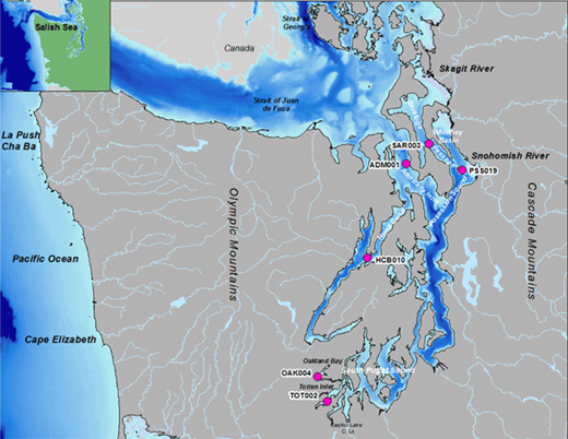 Figure 1. Locations of the six sampling stations of this pilot project in Puget Sound. The six stations (pink circles) fall within Puget Sound, which represents a portion of the Salish Sea (inset). DOI: https://doi.org/10.1525/elementa.270.f1