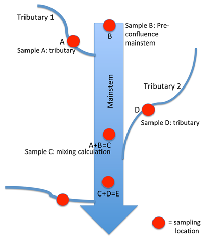 Figure 3. Water sampling configuration utilized to capture tributary and mainstem samples for mixing analysis. Sample design allowed for quantifying major inputs through mixing models while minimizing sample numbers. DOI: https://doi.org/10.1525/elementa.290.f3