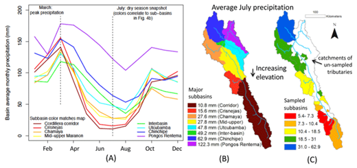 Figure 4. Precipitation patterns across the Marañón basin. (A) Mean precipitation calculated for major subbasins across the upper Marañón basin show a drier trend at higher elevations (southeastern region of the basin) year round as compared to lower-lying watersheds. This geographic behavior is accentuated during the dry season as demonstrated by average precipitation values calculated across watersheds for July (right dashed vertical line) in (B) major subbasins and (C) sampled subbasins. Line colors in (A) match basin colors in (B). In (C) white areas represent tributary watersheds of the upper Marañón basin that were not sampled. DOI: https://doi.org/10.1525/elementa.290.f4