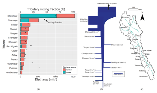 Figure 11. Mixing model results for tributary discharge contributions at their confluence with the Marañón. (A) Error weighted mean mixing fraction of tributaries (dots) indicates the relative proportion of flow the subbasin provides relative to the mainstem. Whiskers identify the total propagated error to the mixing fraction. The stacked bars show approximate discharge for the mainstem and tributary flows based on the EWM mixing fraction solution and the observed discharge at Balsas flow gage at the time of sampling. Although Lagrangian sampling minimizes errors, time variations of discharge cannot be captured. Moreover, tributary discharges include the named tributary plus tributaries of similar composition. Likewise, the mainstem discharge includes waters from tributaries that are similar to the mainstem in composition. The errors in Table 2 in part reflect inputs from tributaries with compositions that are dissimilar from the named tributary or the mainstem. (B) Conceptual flow diagram of the study domain demonstrating the LLB discharge dominance of the mainstem. (C) Subbasins on map approximately aligned with vertical placement of tributaries in (A) and (B). DOI: https://doi.org/10.1525/elementa.290.f11