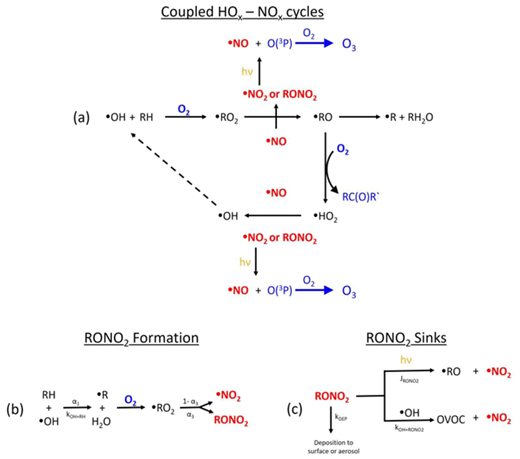 Figure 1. Coupled HOx–NOx reactions. (a) Ozone production cycle. (b) RONO2 formation reactions. (c) RONO2 sinks. DOI: https://doi.org/10.1525/elementa.299.f1