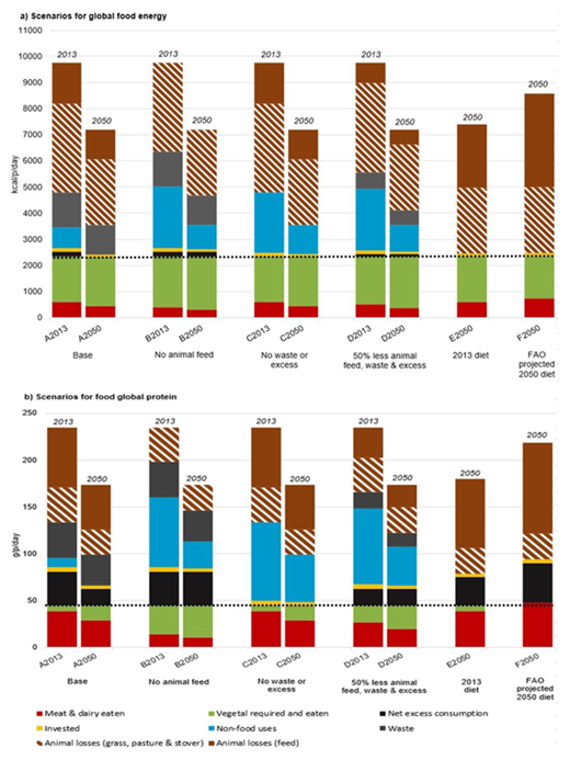 Figure 3. Distribution of energy (panel a) and protein (panel b) between various end-points for the current system (A2013) and nine scenarios: three in 2013 with a global population of 7.18 billion and six with a projected population of 9.7 billion for 2050. In scenarios A to D, the amount of edible crops grown and the amount of grass, pasture and stover fed to animals remain constant at 2013 levels. A2050 shows the effect of population rise with waste streams staying unchanged (i.e. reducing per capita), except for household waste which remains the same per capita. B2013 and B2050 show the effect of not feeding crops that are directly edible by humans to animals. C2013 and C2050 show the effect of eliminating all waste and net excess consumption. The B and C scenarios are theoretical best cases that show the maximum that can be achieved through each lever. D2013 and D2050, more realistically than the B and C scenarios, show the combined effects of reducing the amount of human-edible crops fed to animals, waste and net excess consumption all by 50% compared to the A scenarios. E2050 holds meat and dairy consumption per capita at current levels while F2050 allows meat and dairy consumption per capita to increase by 23%, in line with FAO projections. E2050 and F2050 are only possible with an increase in total crop production (see text). For clarification, animal losses in solid brown represent those associated with human-edible food. The hatched brown shows ‘losses’ associated with grass, pasture and stover and represents the inefficiencies of conversion of nutrients from vegetable matter to meat and dairy. The horizonal dotted lines show the ADER for calories (panel a) and the ARI for protein (panel b). DOI: https://doi.org/10.1525/elementa.310.f3