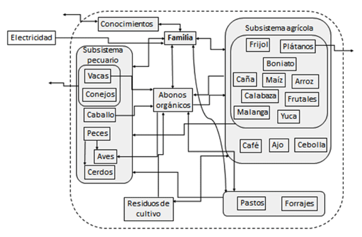 Figure 3. Productive subsystems and resource flows between them in Finca del Medio, Period III (2006–2015). The arrows represent inputs and outputs for each subsystem or element. During this period, the diversification of production, the use of crop residues and animal manure for organic fertilizers and for biogas, all enriched the systems interactions and increased the overall productive, energy and ecological efficiencies of the system. DOI: https://doi.org/10.1525/elementa.324.f3