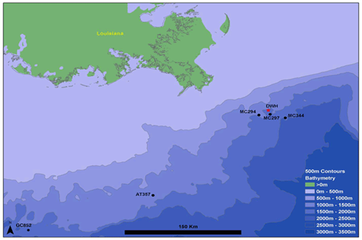 Figure 1. Map of the northern Gulf of Mexico showing the location of the five monitoring sites. The location of the Deepwater Horizon spill site is indicated by a red star. AT357 and GC852 indicate reference sites; MC294, MC297 and MC344 indicate impacted sites. DOI: https://doi.org/10.1525/elementa.349.f1