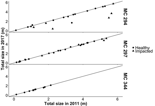 Figure 6. Changes in size between 2011 and 2017 for healthy and impacted Paramuricea biscaya corals. Total size in 2017 is presented as a function of total size in 2011 for both visibly healthy and impacted corals at MC294, MC297 and MC344. Impacted corals are those with visible impact to >20% of the colony in 2011. DOI: https://doi.org/10.1525/elementa.349.f6