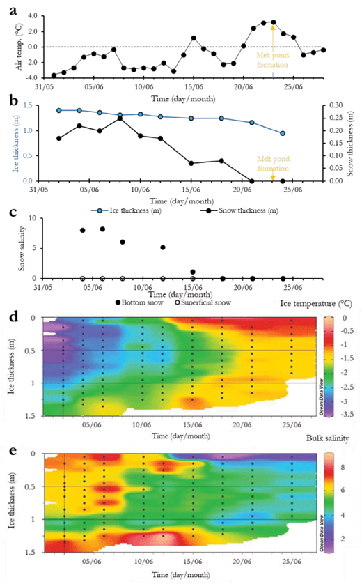 Figure 2. Temporal changes in environmental conditions in the sampling area. (a) Daily averaged air temperature obtained from the meteorological station in Qikiqtarjuaq between June 2 and June 28, (b) measured ice and snow thickness (snow disappeared from the sampling area after June 21), (c) bottom snow salinity (0.05-m layer directly in contact with sea ice) (closed circles) and superficial snow salinity (0.05 m layer at the top of the snow cover) (open circles) measured between June 4 and 23, (d) contour plot of sea-ice temperature, and (e) contour plot of sea-ice salinity. Black marks in the contours plots indicate actual sampling depths within the ice profiles. DOI: https://doi.org/10.1525/elementa.370.f2
