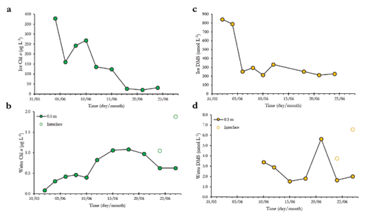 Figure 4. Temporal variations in Chl a and DMS concentrations in sea ice and under-ice water. (a) Chl a concentrations (µg L–1) in the bottom 0.1 m of sea ice, (b) Chl a concentrations (µg L–1) in under-ice water at 0.5 m (closed circles) and directly at the ice-water interface under melt ponds (open circles), (c) DMS concentrations (nmol L–1) in the bottom 0.1 m of sea ice, and (d) DMS concentrations (nmol L–1) in under-ice water at 0.5 m (closed circles) and directly at the ice-water interface under melt ponds (open circles). DOI: https://doi.org/10.1525/elementa.370.f4