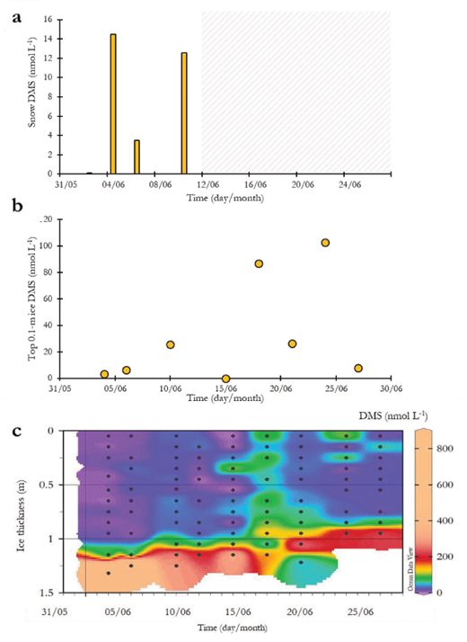 Figure 5. DMS concentrations in the snow and sea ice. (a) DMS concentrations (nmol L–1) in bottom snow between June 2 and 12 (no DMS measurements in were taken during the period marked with a shaded area), (b) DMS concentrations (nmol L–1) in the top 0.1-m of the ice, and (c) contour plot of bulk-ice DMS concentrations (nmol L–1). DOI: https://doi.org/10.1525/elementa.370.f5