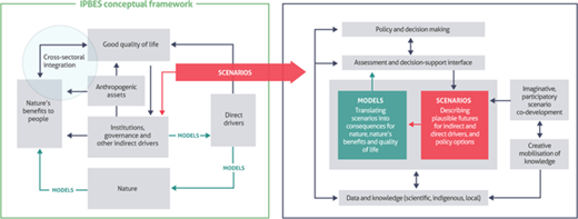 Figure 1. IPBES conceptual framework. An overview of how scenarios are included in the conceptual framework of IPBES and how scenarios and models contribute to policy and decision-making through assessments, formal decision-support tools and informal processes. The grey boxes on the right show where imagination can contribute to the development of new scenarios (adapted from IPBES 2016). DOI: https://doi.org/10.1525/elementa.374.f1