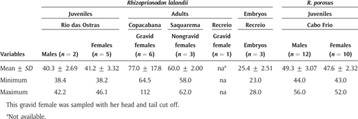 Total length (cm) for Rhizoprionodon lalandii and R. porosus specimens from southeastern Rio de Janeiro, Brazil. DOI: https://doi.org/10.1525/elementa.022.t2