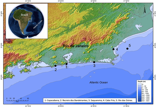 Map indicating the sharpnose shark sampling sites in Rio de Janeiro, southeastern Brazil.