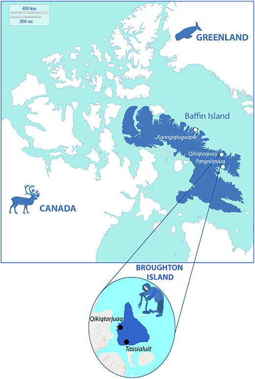 Map showing the three studied communities, Kanngiqtugaapik, Pangniqtuuq, and Qikiqtarjuaq, located on Baffin Island. The hunting camp is also shown in Tassialuit, 1:30 a.m. south from Qikiqtarjuaq by snowmobile. DOI: https://doi.org/10.1525/elementa.025.f1