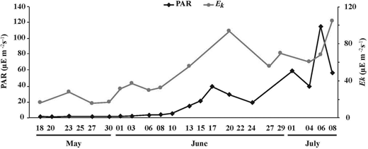 Time series of light parameters in sea ice. Time series of (A) photosynthetically active radiation (PAR, black diamonds) at 1.3 m, underneath the ice (see text); and (B) sympagic algae saturating irradiance (Ek, gray circles) in the bottom (0–1 cm) sea-ice section from May 18 to July 08, 2016, at the sampling location in Davis Strait (Figure 1). DOI: https://doi.org/10.1525/elementa.076.f3