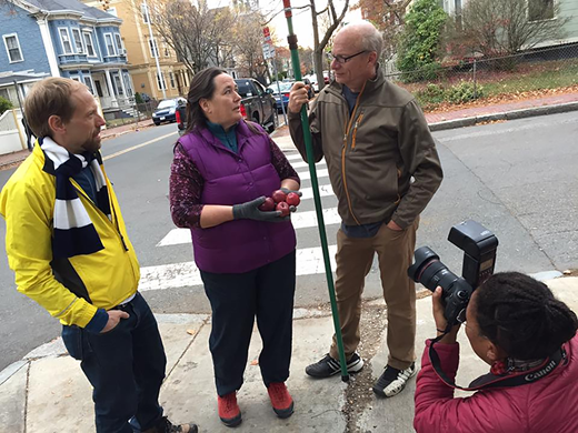 (A–E) Map of urban fruit samples and types of settings in which fruit can be harvested. (A) Map representing the locations of fruit trees and soil samples in Boston, Cambridge, and Somerville, with MassDOT roads and open space. Analyzed samples are marked with an “x.” (B–E) highlight the variety of settings for urban fruit from (B) along roadsides, (C) urban farms growing multiple types of produce (collards and apples), (D) historic properties with antique mini-orchards, and (E) street corners (with two members of the League of Urban Canners).