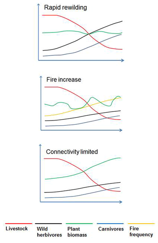 Figure 5. Pathways of Megaherbivore rewilding transitions here described. Hypothetical trajectories of livestock, native ungulates, carnivores, fire and vegetation biomass. DOI: https://doi.org/10.1525/elementa.415.f5