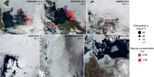 Figure 2. Terra MODIS satellite images showing locations of the different cruises. The date of the image was at the approximate peak of the phytoplankton bloom (maximum chl a concentration, as depicted by the size of the circles; mg m–3). Red and purple indicate sea-ice concentration on the date of the sampling, <50% and ≥50%, respectively. DOI: https://doi.org/10.1525/elementa.430.f2