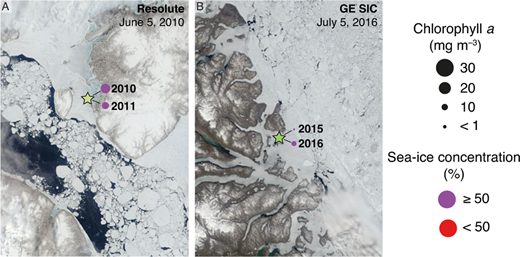 Figure 3. Terra MODIS satellite images showing locations of the sea-ice camps. The date of the image was at the peak of the phytoplankton bloom (maximum chl a concentration, as depicted by the size of the dots; mg m–3) in 2010 for Resolute and 2016 for Green Edge. Red and purple indicate sea-ice concentration on the date of the sampling, <50% and ≥50%, respectively. DOI: https://doi.org/10.1525/elementa.430.f3
