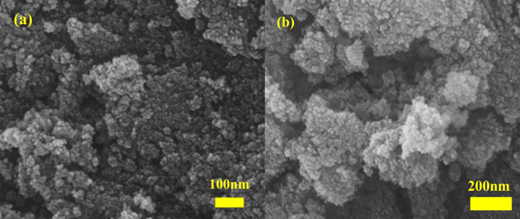 The SEM images of ZnFe2O4. ZnFe2O4 = zinc ferrite; SEM = scanning electron microscopy. DOI: https://doi.org/10.1525/elementa.2020.00096.f2
