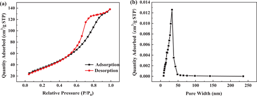 The N2 adsorption–desorption isotherms (a) and Barrett–Joyner–Halenda pore size distribution plot (b) of ZnFe2O4. ZnFe2O4 = zinc ferrite. DOI: https://doi.org/10.1525/elementa.2020.00096.f3