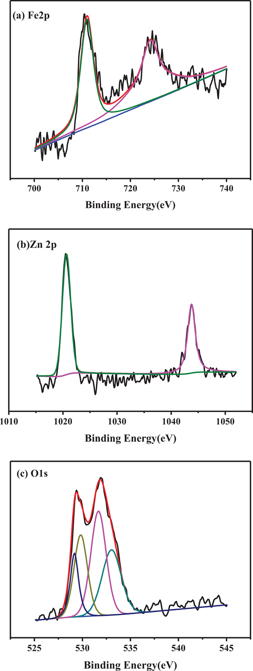 The X-ray photoelectron spectroscopy survey spectra of the ZnFe2O4. (a) Fe 2p, (b) Zn 2p, and (c) O 1s. ZnFe2O4 = zinc ferrite. DOI: https://doi.org/10.1525/elementa.2020.00096.f4